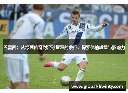 巴雷西：从绿茵传奇到足球智慧的象征，探索他的辉煌与影响力