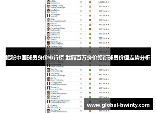 揭秘中国球员身价排行榜 武磊百万身价领衔球员价值走势分析