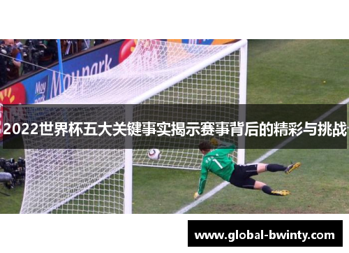 2022世界杯五大关键事实揭示赛事背后的精彩与挑战